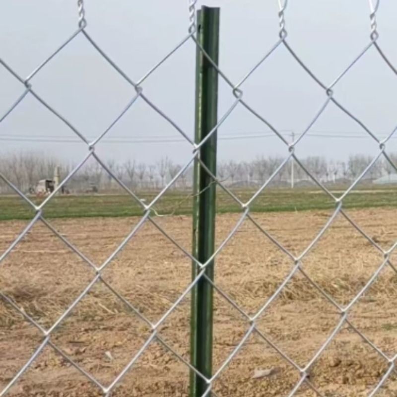 热镀锌铁丝网勾花网围栏网养鸡狗养殖网钢丝网户外防锈防护网隔离