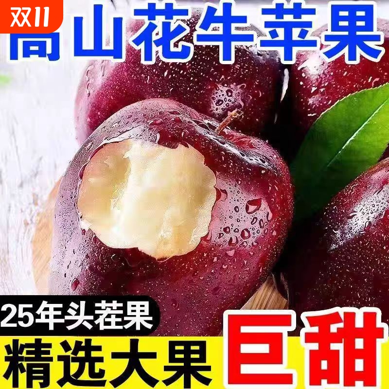 正宗甘肃天水花牛苹果中心产区新鲜水果整箱当季红蛇面苹果