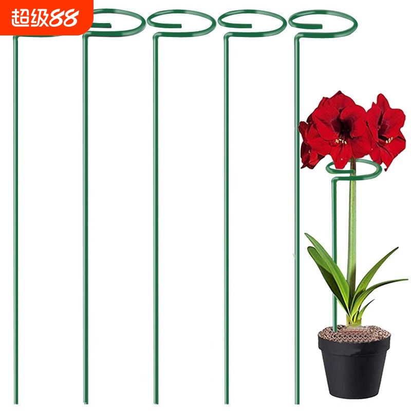 花架子园艺支架朱顶红支撑杆