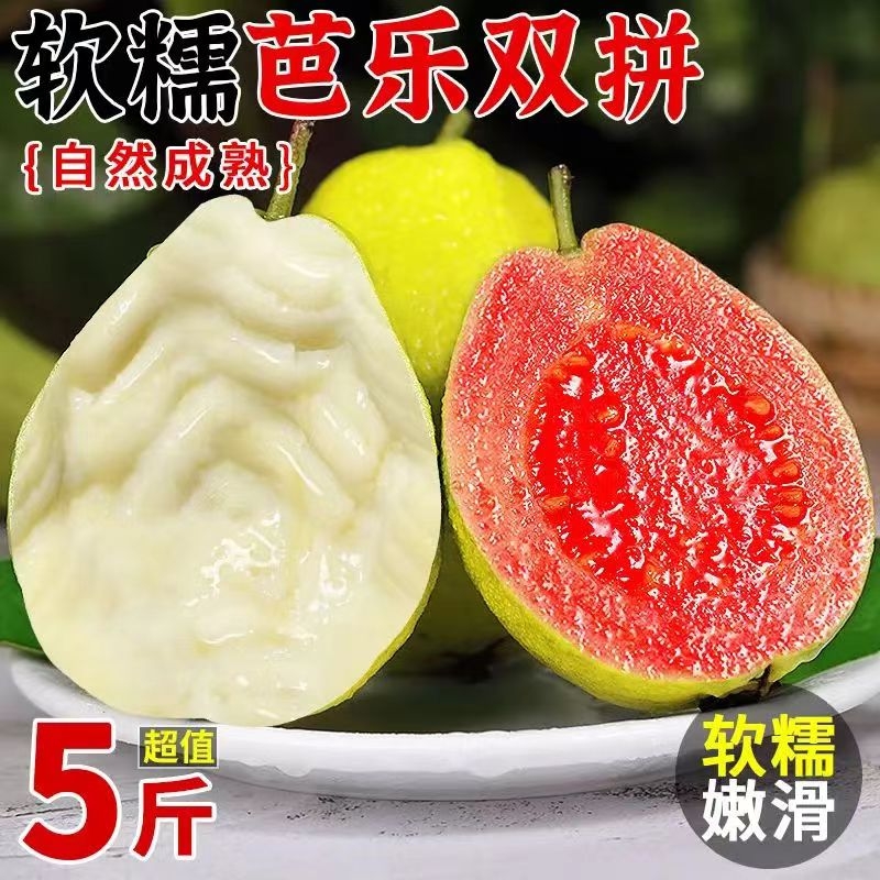 正宗奶油冰淇淋红白双拼芭乐软心软糯新鲜应季番石榴脆甜批发