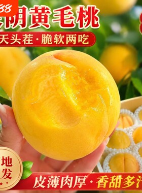山东蒙阴黄桃黄金桃鲜桃新鲜水果软硬两吃水蜜桃毛桃子脆甜现摘发