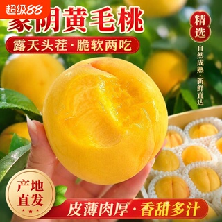 山东蒙阴黄桃黄金桃鲜桃新鲜水果软硬两吃水蜜桃毛桃子脆甜现摘发