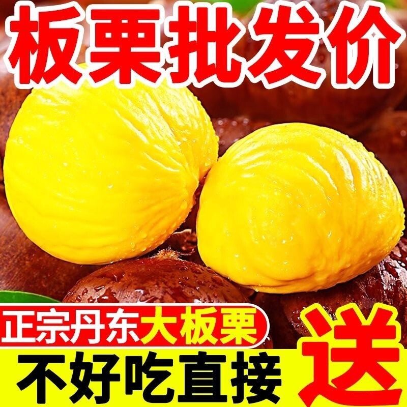 新鲜采摘丹东大个新鲜板栗