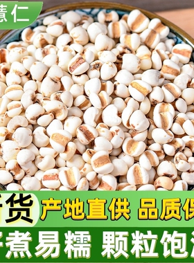 纯小薏米仁新货贵州农家新鲜生苡仁薏仁米意米粒五谷杂粮粥米煮饭