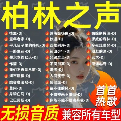 网络歌曲正版车载U盘音质清晰