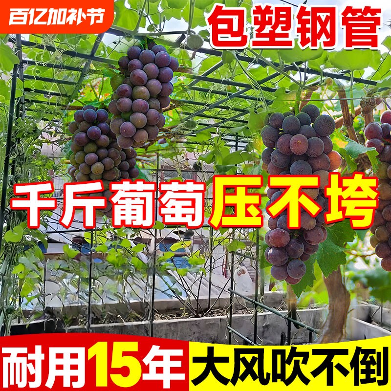 不锈钢葡萄架子户外花架黄瓜爬藤架植物支撑杆百香果丝瓜攀爬架