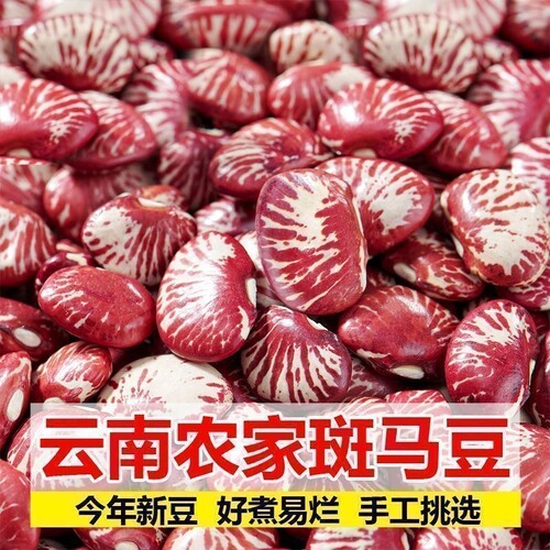 精选5斤斑马新货农家自产大圣豆荷包豆饭豆煲汤煮粥斑马豆批发