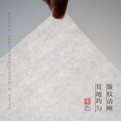 全熟全生高级书画纸半生半熟宣纸国画作品纸毛笔书法练习纸生宣纸花鸟画专用临摹纸练字四尺整张对开三尺四开