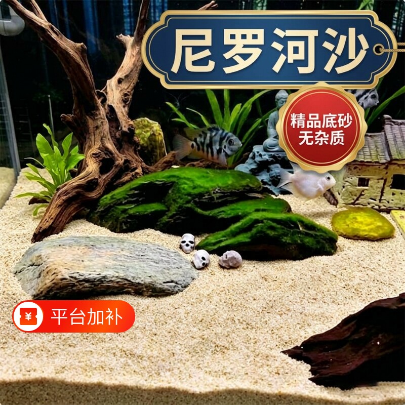鱼缸造景底部砂石沙河沙雨林沙装饰养专用生态免洗微景观螃蟹大型
