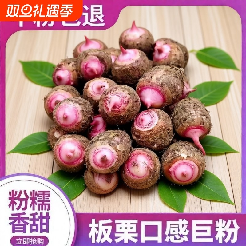 浙江金华红芽芋当季新鲜小香芋艿牛奶芋头槟榔毛芋头蔬菜软糯芋头