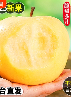 黄金奶油富士苹果烟台水果新鲜当季整箱冰糖心批发正宗包邮脆甜