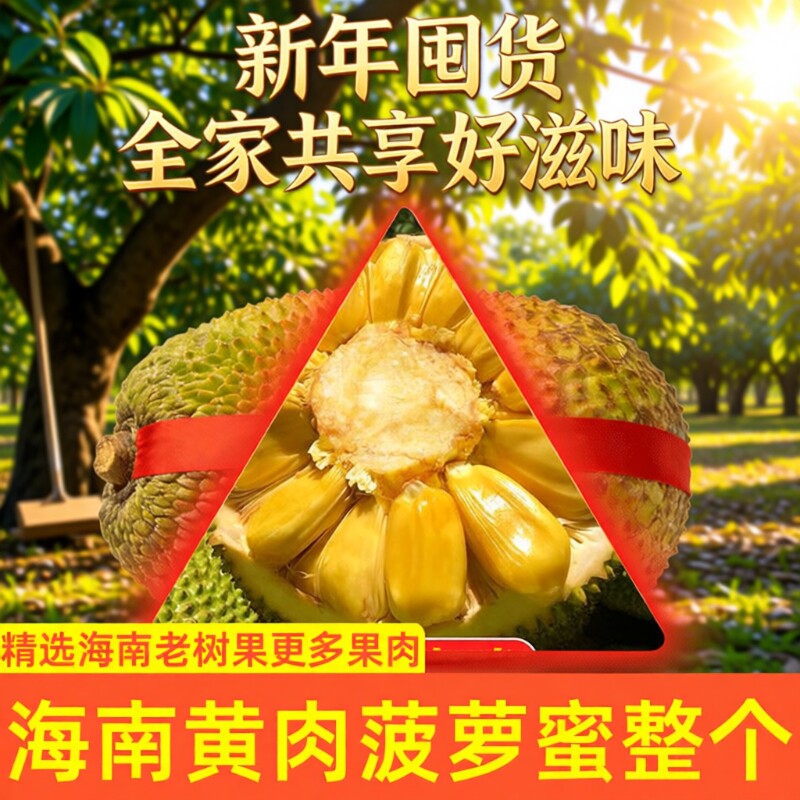 海南三亚黄肉菠萝蜜一整个干苞新鲜大果现摘特产批发水果年货包邮