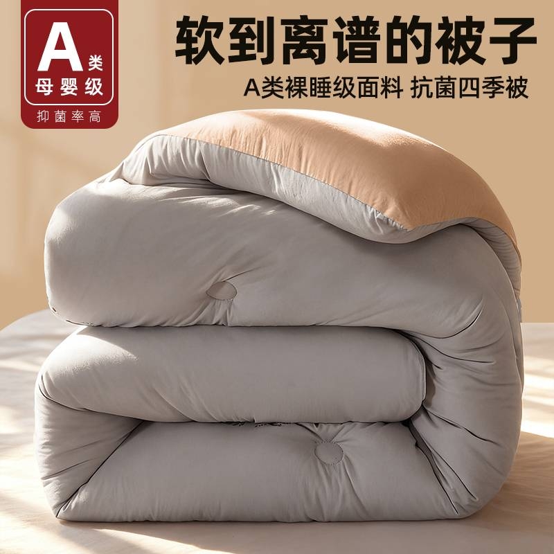 【四季通用】加厚保暖被子被芯