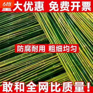 黄瓜豆角爬藤菜架竹竿架菜园搭架竹子户外旗杆篱笆围栏竹杆子批发
