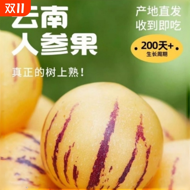 云南石林人参果新鲜水果当季树上熟正宗黄肉黄心