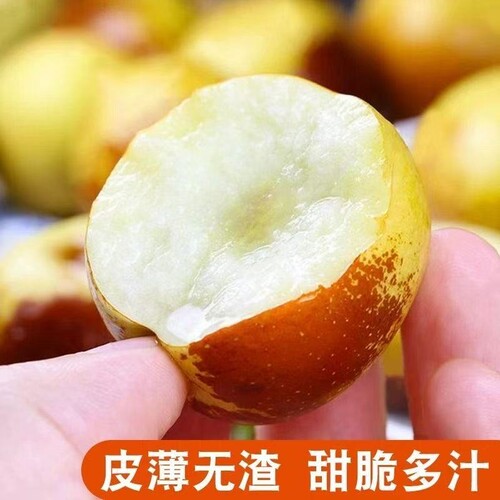 地标授权5斤陕西大荔冬枣新鲜当