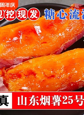 烟薯25号沙地蜜薯糖心红薯小新鲜红皮心烟台农科院烤山芋专用番薯