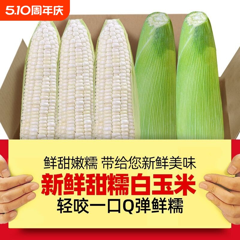 现摘新鲜糯玉米嫩黏亲爱的玉米棒子粒食黄白玉米生鲜水果香甜普通