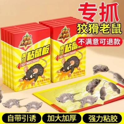老鼠粘鼠板粘强力胶粘大老鼠克星捕贴超强家用扑捉器正品黏鼠神器