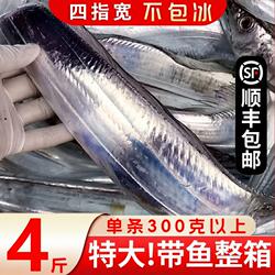 舟山带鱼特大东海南海雷达整条冷冻新鲜整箱海钓刀鱼深海海捕水产