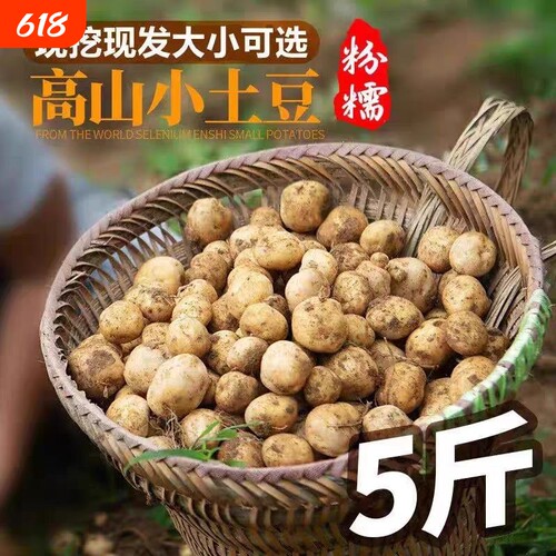【恩施小土豆新鲜】黄皮黄心土豆批发蔬菜洋芋现挖马铃薯整箱