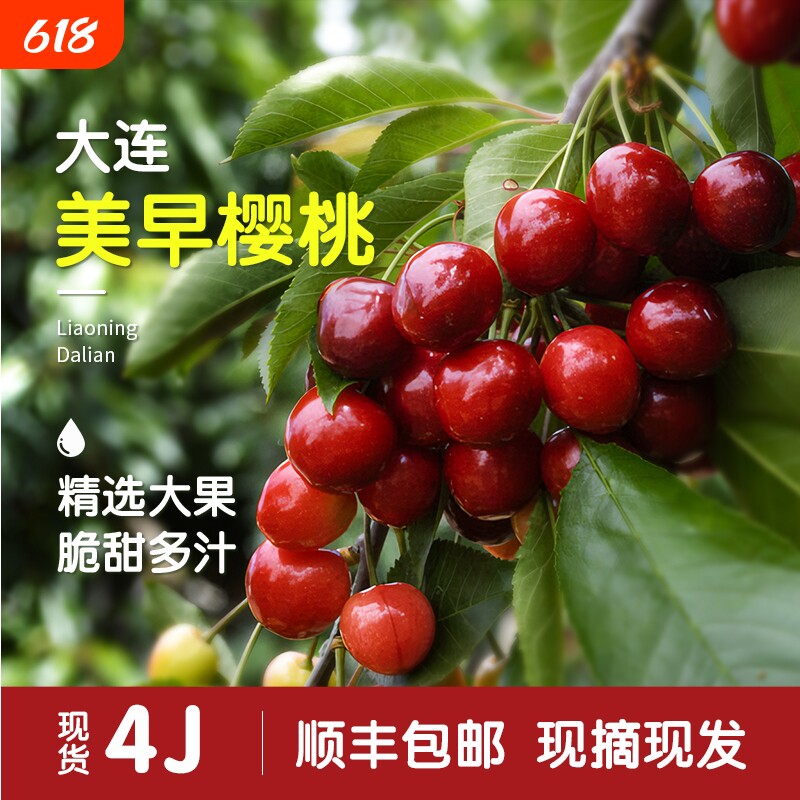 大连美早樱桃新鲜水果车厘子5斤当季4J整箱大珍珠孕妇包邮国产10