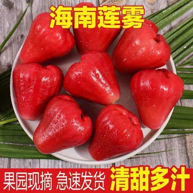 海南黑珍珠莲雾当季新鲜红宝石莲雾孕妇水果雾莲热带特产净重包邮