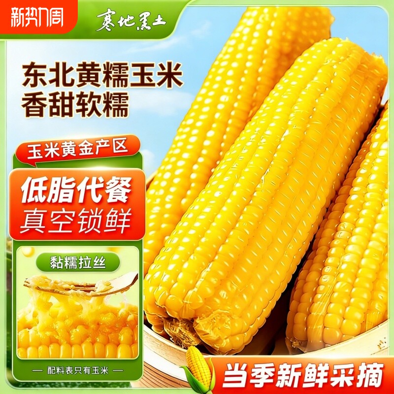 东北黄糯玉米棒真空装黄苞米现摘新鲜黏玉米粗粮代餐10棒香甜软糯