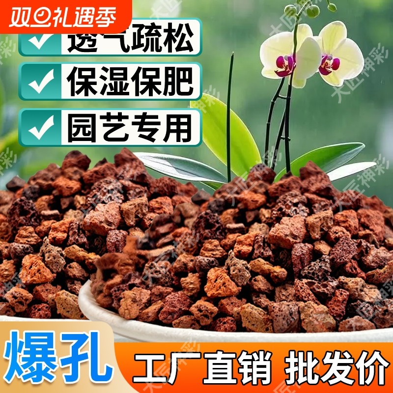 火山石小颗粒养花蝴蝶兰花专用多肉铺面石水培植物铺底鱼缸底砂石