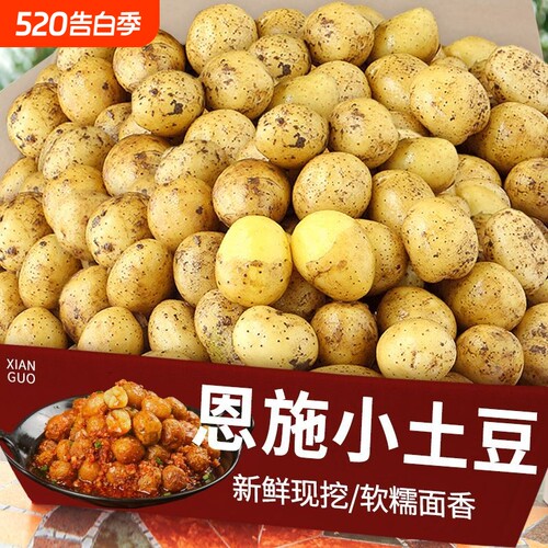 【恩施发货】湖北正宗恩施小土豆农家马铃薯洋芋种高山老品种黄心