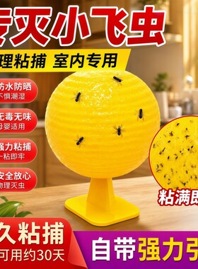 粘虫球飞虫果蝇诱捕器粘蝇板