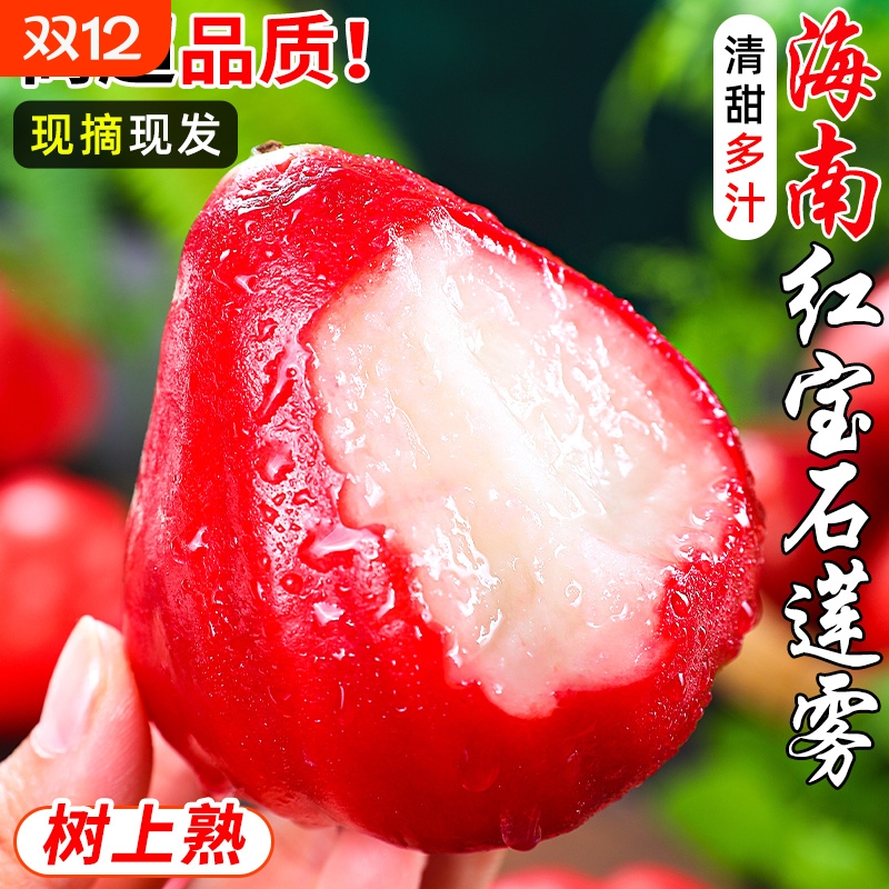 海南红宝石莲雾5斤新鲜整箱