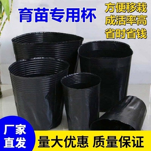 营养钵育苗袋一次性育苗杯花盆种植盆塑料园艺花卉种子苗木杯扦插