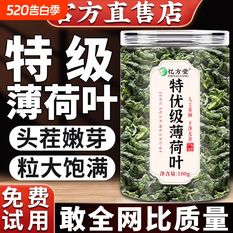 薄荷叶干新鲜食用凉茶清热降火解去排毒的茶包下火中药材饮品清凉