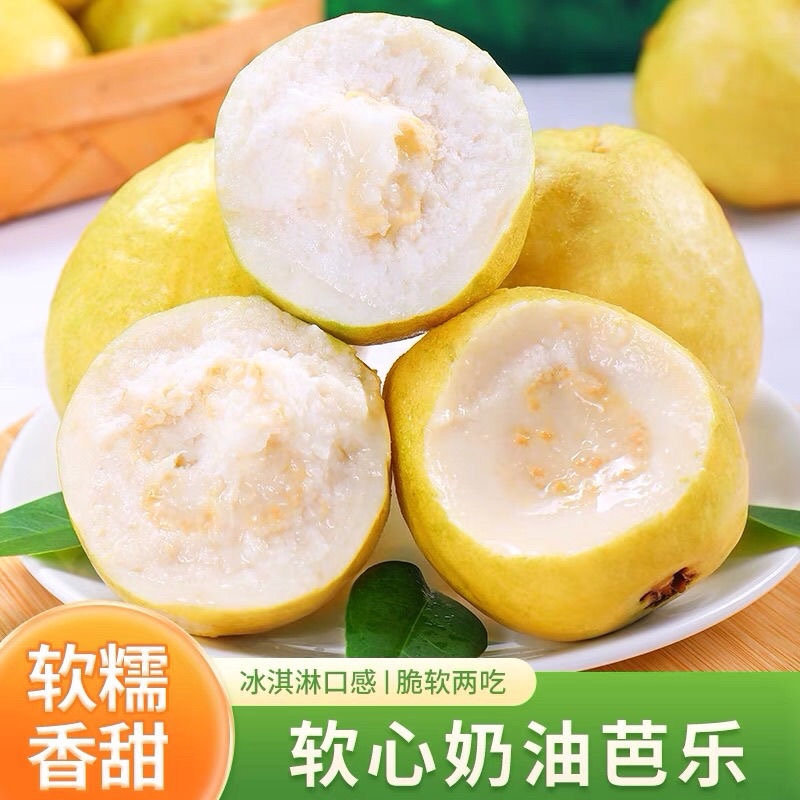 【优质】软糯奶油芭乐当季新鲜水果软心番石榴鸡屎果白心芭乐孕妇