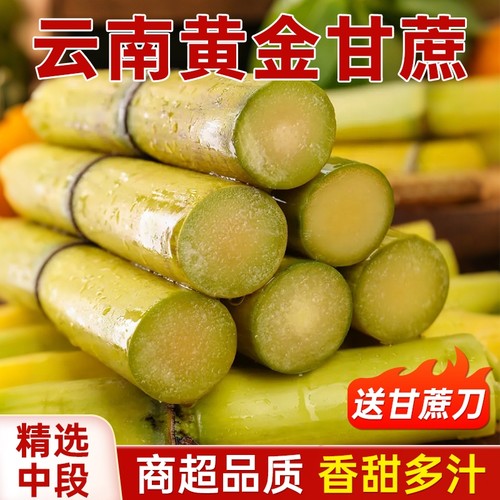 云南黄金甘蔗脆甜多汁