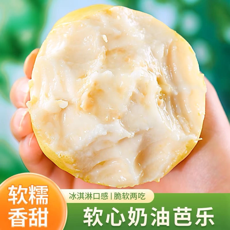 广西白心芭乐 5斤水果 软糯香甜 白心番石榴奶油 当季新鲜现摘