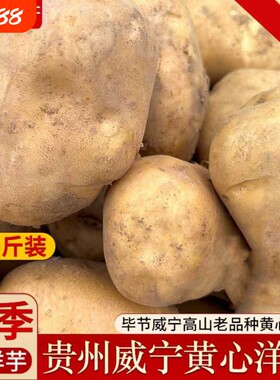 贵州毕节威宁黄心米拉洋芋高山特产老品种土豆新鲜粉糯马铃薯当季