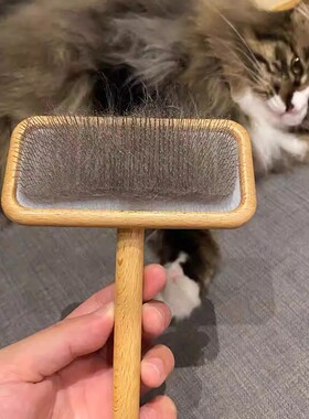 2026新款宠物梳子猫咪梳子狗毛刷