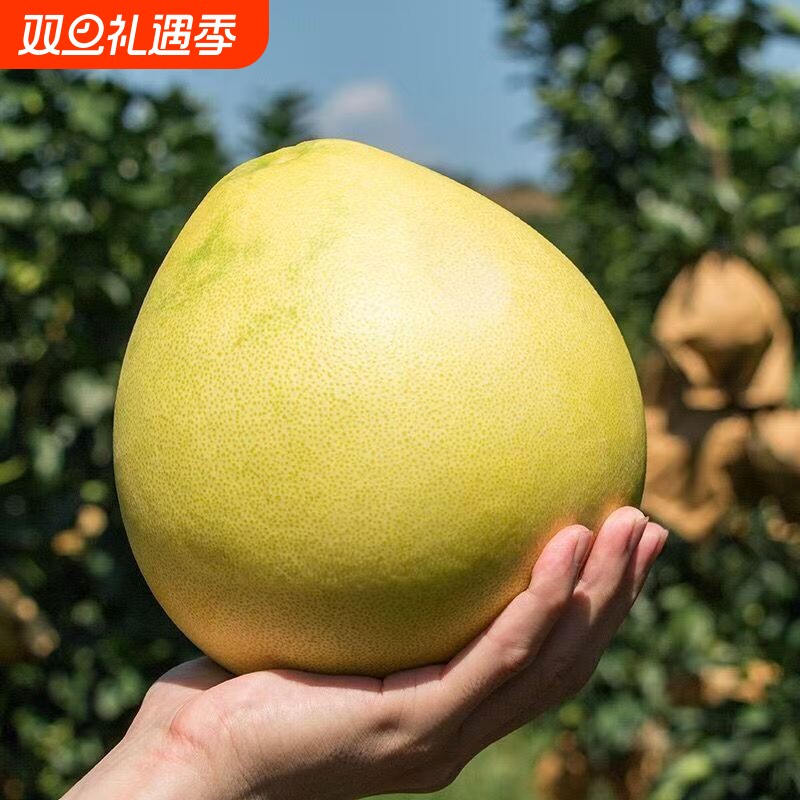 红心柚10斤新鲜蜜柚箱装