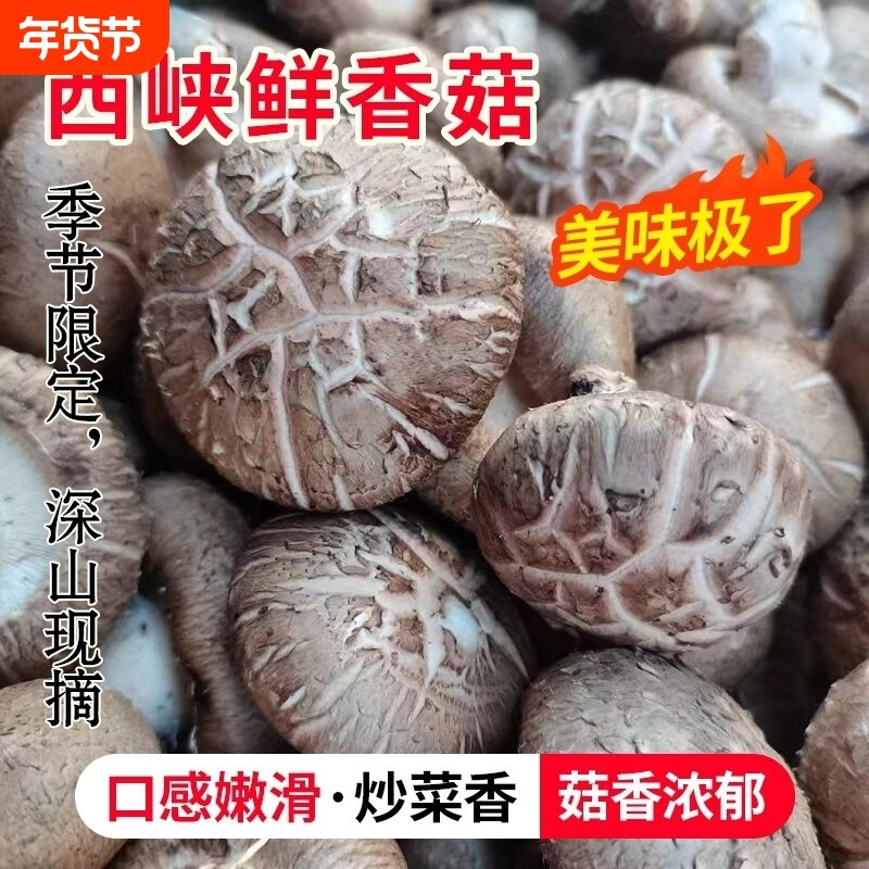 新鲜香菇花菇火锅食材下饭菜蘑菇菌菇生鲜级特冬菇炒菜炖汤湿香菇,粮油调味/速食/干货/烘焙,香菇类,淘宝优惠券,粉丝福利购,淘宝优惠卷