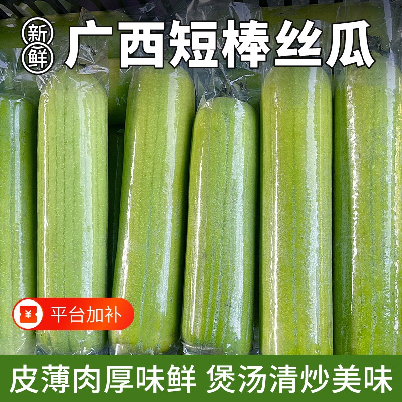 新鲜现摘短棒肉丝瓜农家自种应季蔬菜胖丝瓜批发价5斤包邮旗舰店