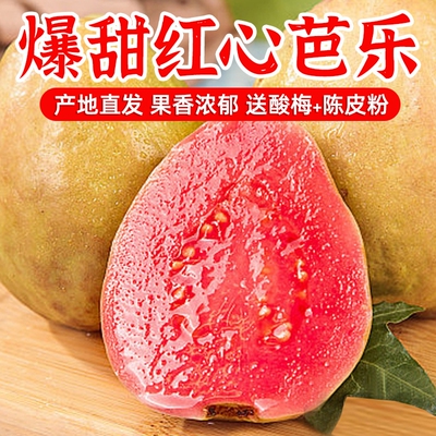 番石榴福建红心芭乐果新鲜水果包邮时令应季胭脂红巴乐软糯好吃