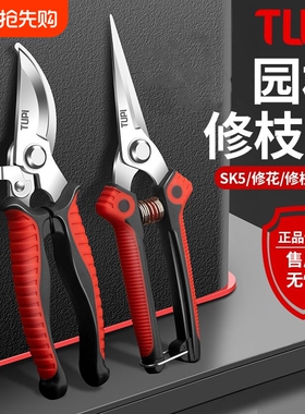 修剪树枝专用剪刀修枝剪刀SK5钢园林园艺果树剪剪子剪枝工具花艺