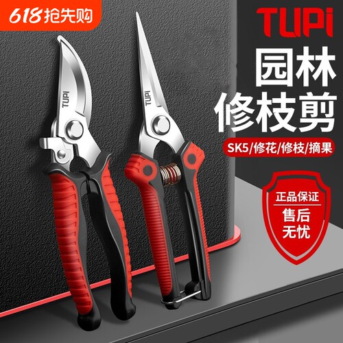修剪树枝专用剪刀修枝剪刀SK5钢园林园艺果树剪剪子剪枝工具花艺