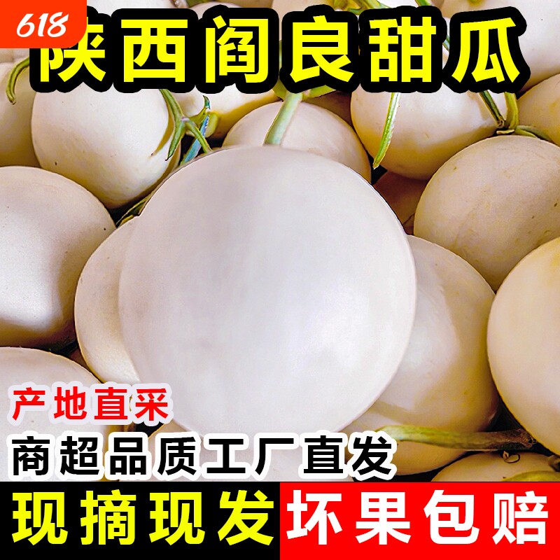 陕西时令孕妇阎良甜瓜现摘应季小甜瓜新鲜水果小蜜瓜产地直供