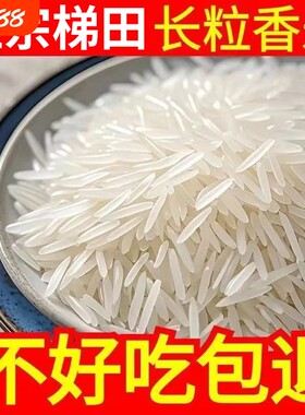 梯田长粒香米2026年新米猫牙米南方优质一级大米50斤量大当季现磨