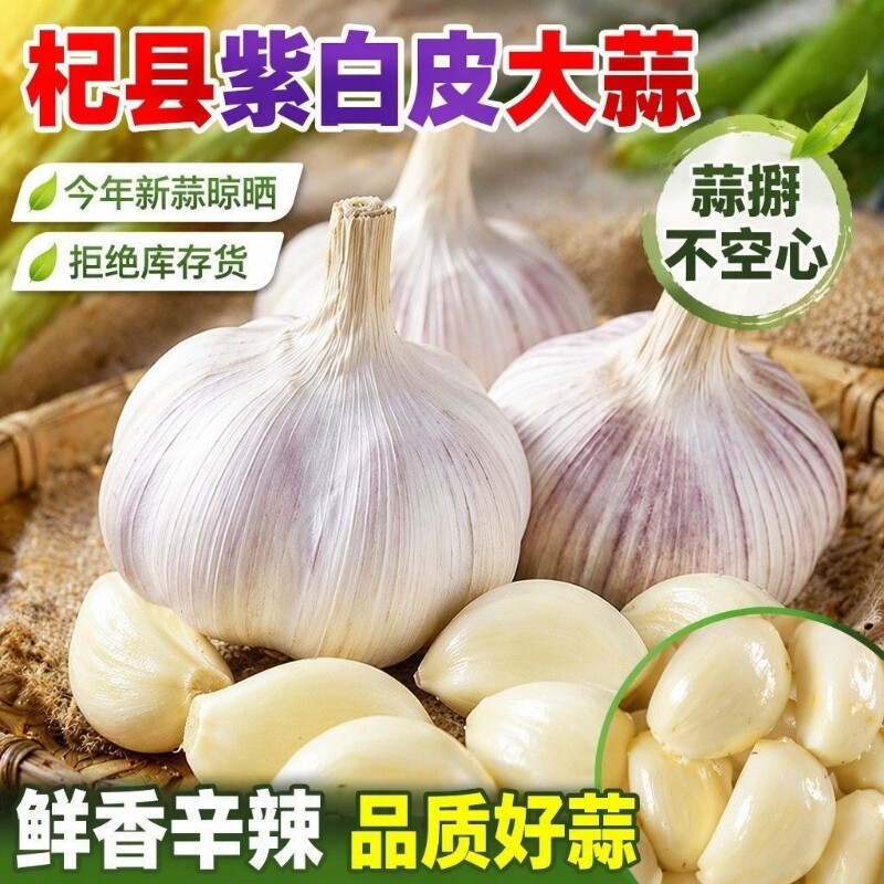 河南开封5斤批发大蒜种子蒜瓣新鲜大果农家自种蒜头种植甄选干蒜