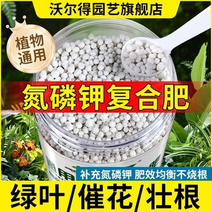 沃尔得复合肥肥料正品 氮磷钾通用复合肥 蔬菜农用种菜养花家用三元