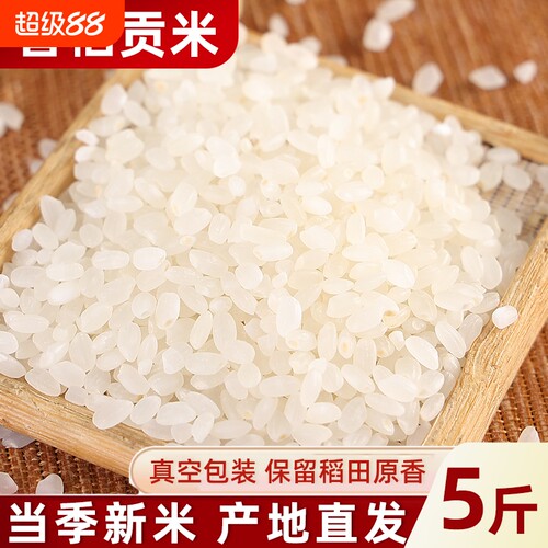 东北香稻大米农家现磨新米